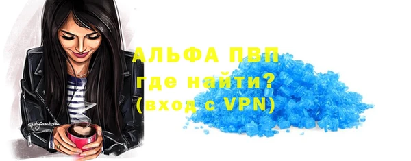 СК Медвежьегорск
