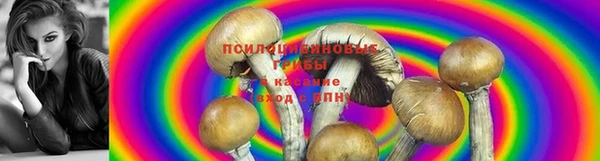 кокаин VHQ Магадан