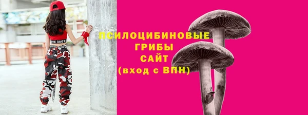 сатива Магас