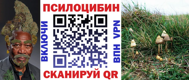 Псилоцибиновые грибы мицелий  Сысерть 